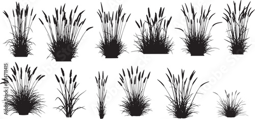 collection of black vector silhouettes of various marsh plants and wild grasses, including cattails and reeds.