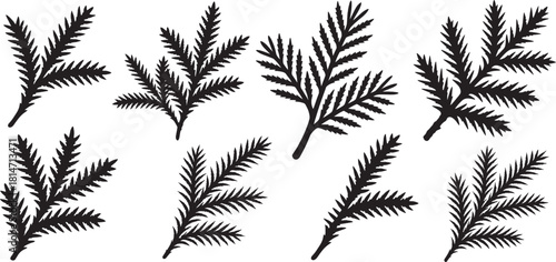 Collection of various coniferous tree branches silhouette vector, Decorative elements for design