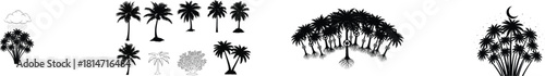 Collection of stylized palm tree silhouettes and weather icons