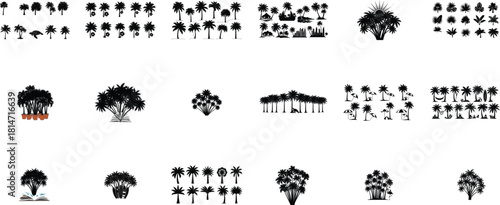Assorted palm tree silhouettes with tropical and abstract elements