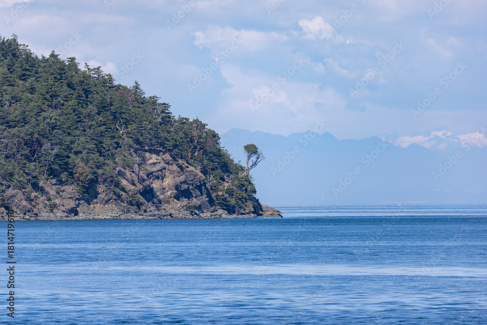 Fototapeta premium Lone Tree on Rocky Point Over Calm Coastal Waters