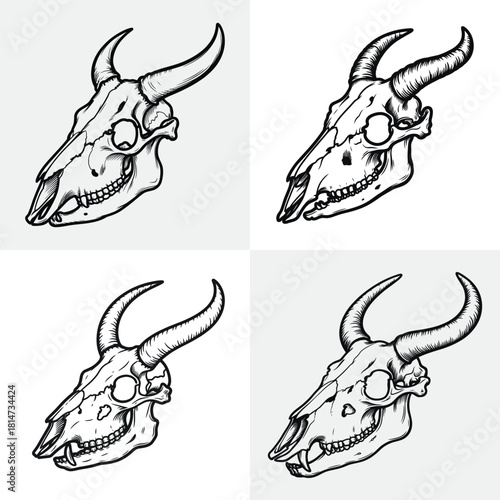 Cute cartoon vector illustration of a bull and cow with horns in fun animal design