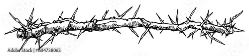 hand drawn thorn branch sketch illustration