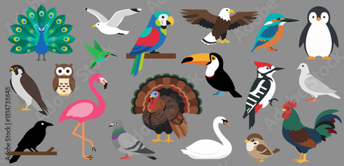 Colorful Bird Collection – Fully Editable Flat Vector Illustration Set, including peacock, parrot, eagle, hummingbird, turkey, toucan, flamingo, penguin, and more.
