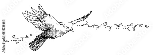 flying dove with decorative swirl sketch