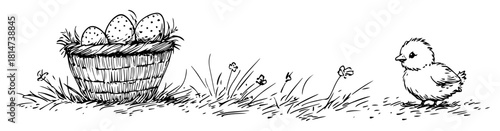 easter chick looking at a basket of eggs vector sketch
