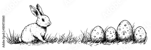 easter bunny rabbit with decorated eggs in grass vector sketch