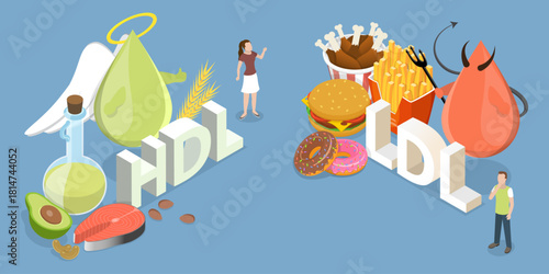 3D Isometric Flat Vector Illustration of HDL Vs LDL, Comparison Of Cholesterol Types With Examples