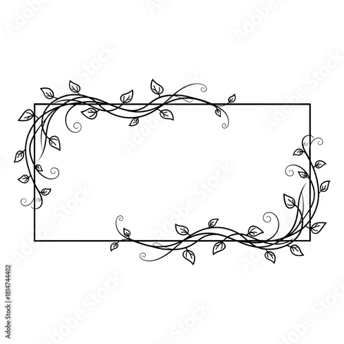 Web