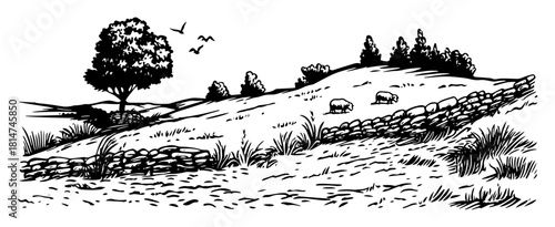 pastoral hillside with sheep monochrome vector illustration