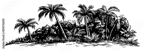 tropical palm island silhouette monochrome vector illustration