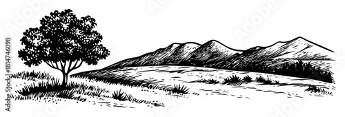 open meadow mountain landscape with lone tree monochrome vector illustration
