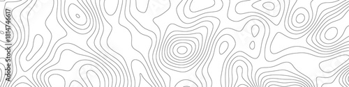 Elegant minimal contour line pattern with smooth topographic curves forming an organic abstract map-style background, modern geographic wave design perfect for nature and layout graphics