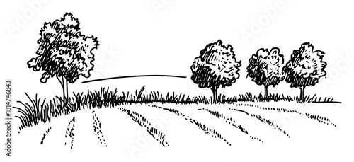 farmland field rows with trees countryside monochrome vector illustration