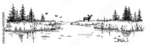 two moose in forest lake scene hand drawn sketch