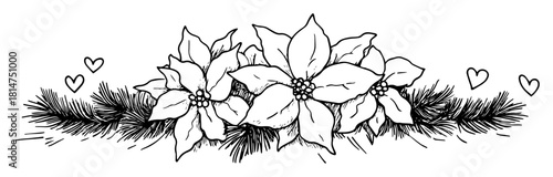 christmas floral decoration with poinsettia sketch