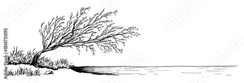 tree on river bank landscape hand drawn sketch