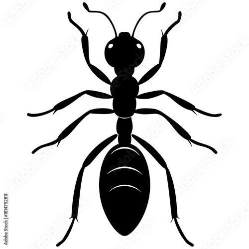 silhouette ant on white background