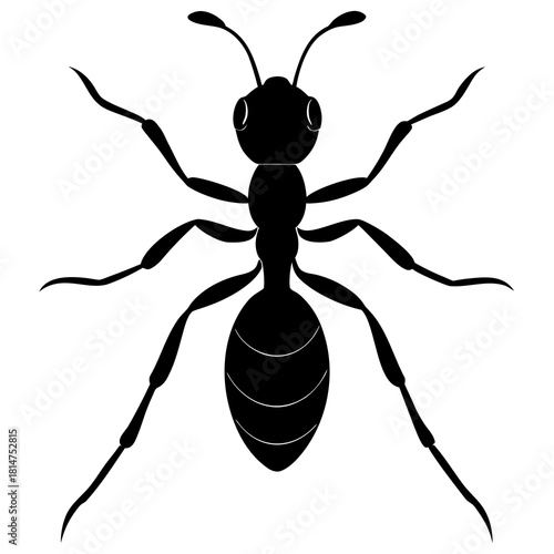silhouette ant on white background