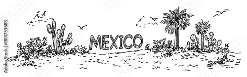 mexico landscape with cacti and palm trees
