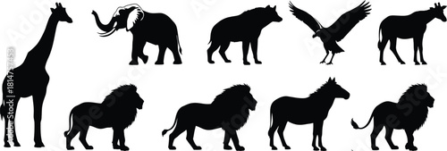 Silhouettes of african animals giraffe elephant lion zebra and eagle