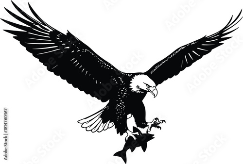 Bald eagle in flight, majestically soaring with a freshly caught fish in its powerful talons