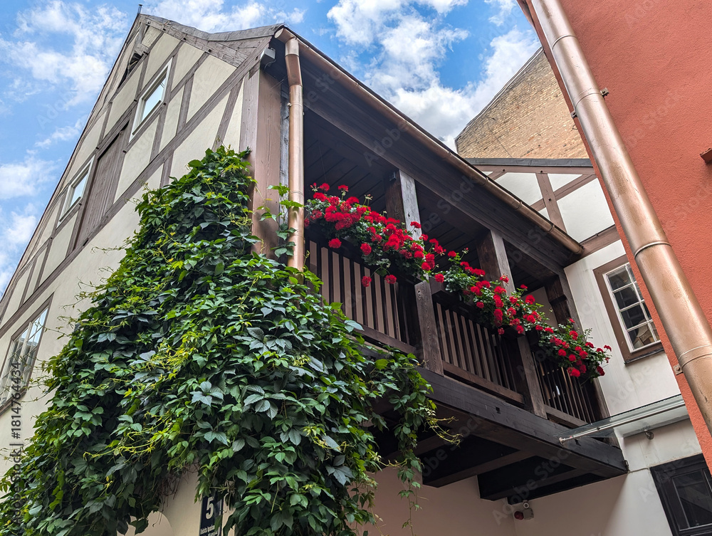 Naklejka premium Beautiful balcony decorated with geranium flowers