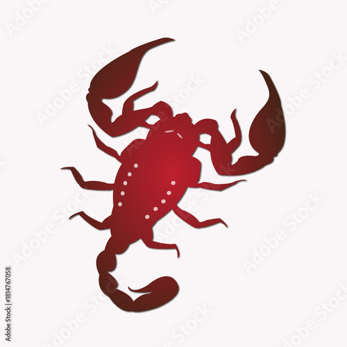 red scorpion isolated on white background