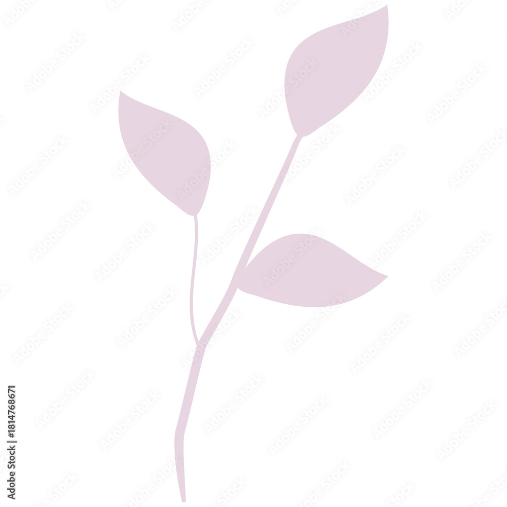 Fototapeta premium Summer flowers and brunch.