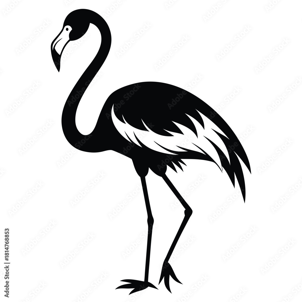 Obraz premium flamingo bird black and white silhouette on white background