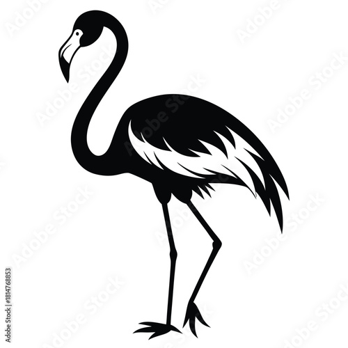 flamingo bird black and white silhouette on white background