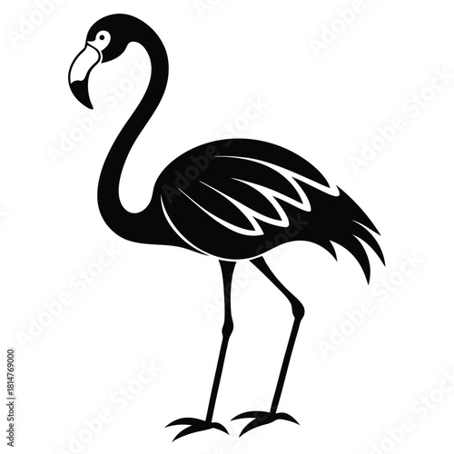 flamingo bird black and white silhouette on white background