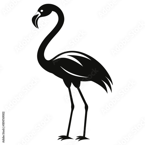 flamingo bird black and white silhouette on white background