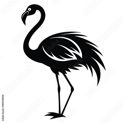flamingo bird black and white silhouette on white background