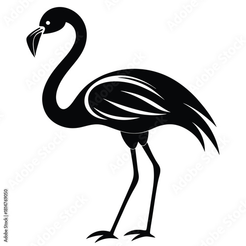 flamingo bird black and white silhouette on white background
