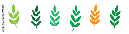 Aesthetic botanical illustration of leaves and stems in green and orange tones