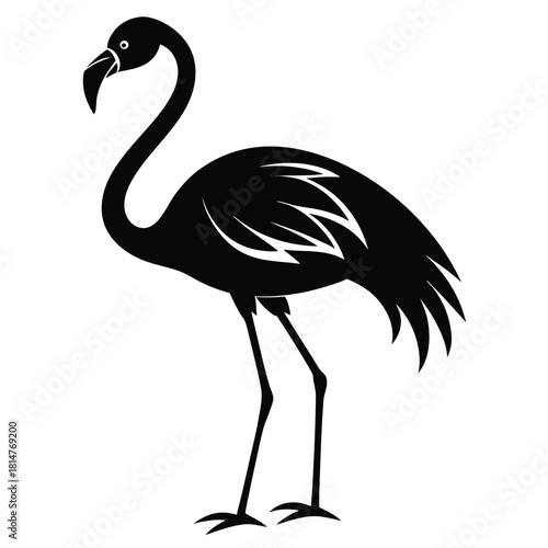 flamingo bird black and white silhouette on white background