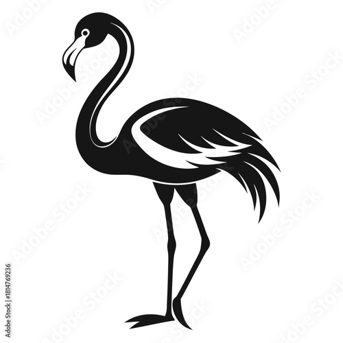 flamingo bird black and white silhouette on white background
