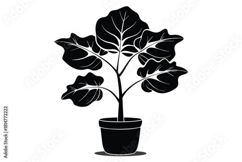 fiddle leaf fig black and white silhouette