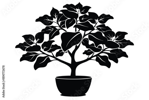 fiddle leaf fig black and white silhouette