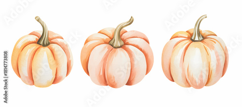 Halloween pumpkin watercolor collection. Rustic halloween pumpkin illustration.