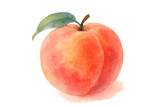 Ripe peach watercolor painting with green leaf, juicy fruit illustration, fresh and sweet food drawing on transparent background