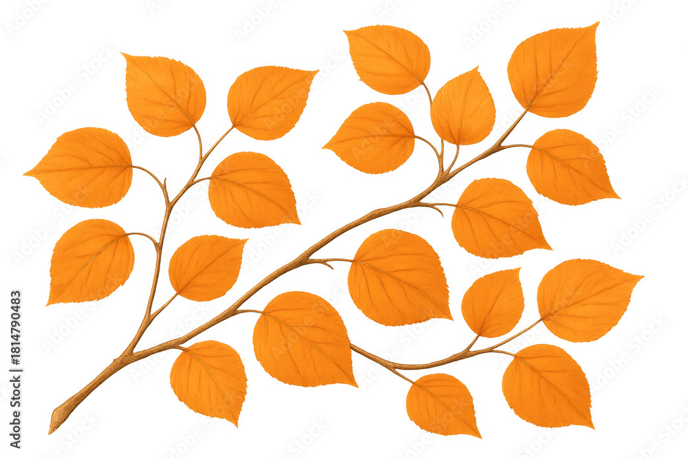 Obraz premium Autumnal branch displaying vibrant orange leaves, perfect for fall designs. Transparent background for easy integration