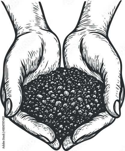 Detailed black and white vector illustration of hands holding rich soil, symbolizing growth and sustainability in gardening and agriculture