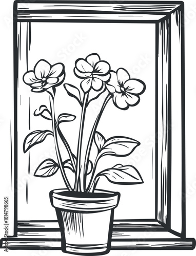 Hand-drawn black and white vector illustration of a flowering plant in a pot, seen through a window frame