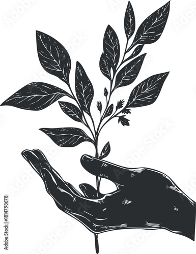Hand-drawn vector illustration of a hand nurturing a plant with leaves, symbolizing growth and sustainability in nature.