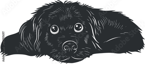 Stylized black and white vector illustration of a cute dog face, perfect for pet-themed designs and animal lovers.