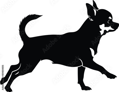 Running Chihuahua Dog Black Silhouette Vector: Small Breed Canine Graphic for Pet Shop Logo, Animal T-shirt Print, and Domestic Companion Illustration Design Element.