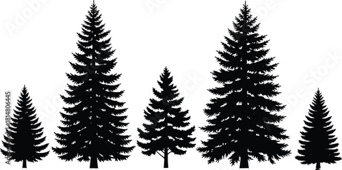Conifer tree silhouettes, pine shapes, fir outlines, forest elements, evergreen icons, nature design, black trees, flat vector illustration