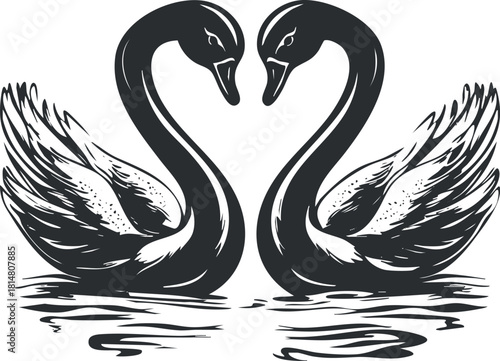 Elegant black and white vector illustration of two swans forming a heart shape, ideal for romantic themes and nature designs